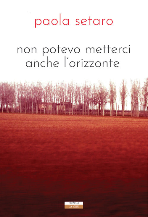 Cover of Non potevo metterci anche l'orizzonte