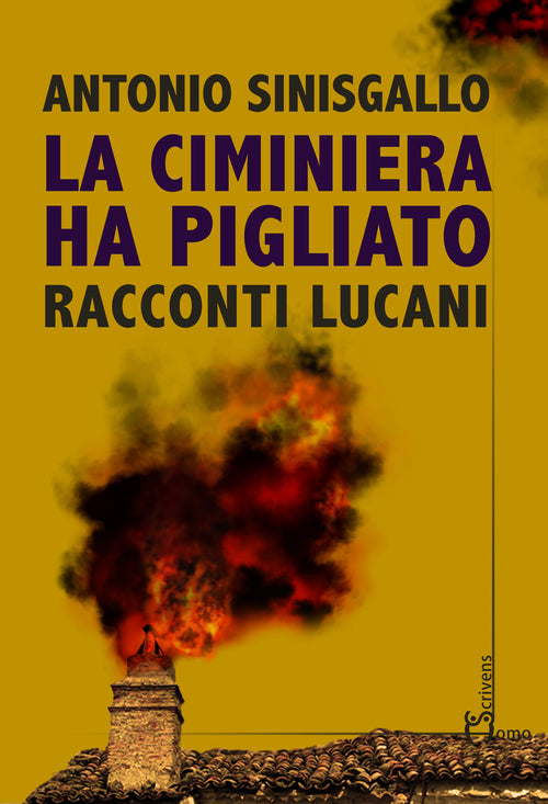 Cover of ciminiera ha pigliato. Racconti lucani