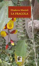 Cover of fragola