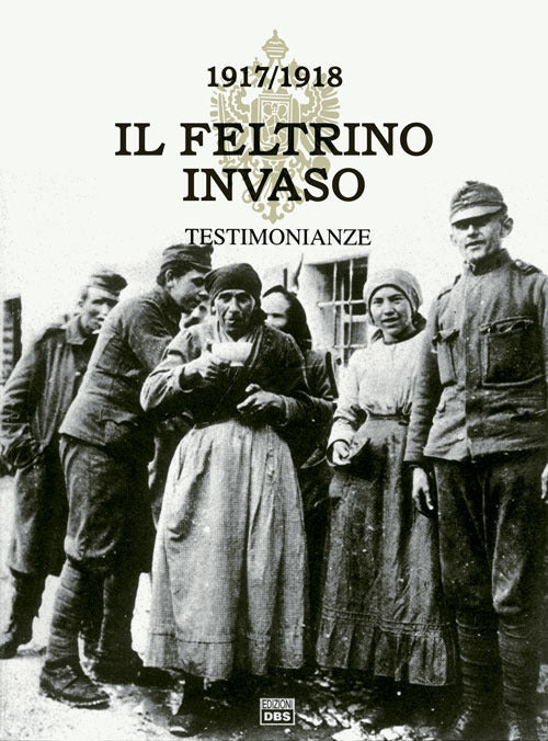 Cover of Feltrino invaso 1917-1918