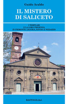 Cover of mistero di Saliceto. I templari e la loro presenza in Piemonte, Liguria, Savoia e Nizzardo