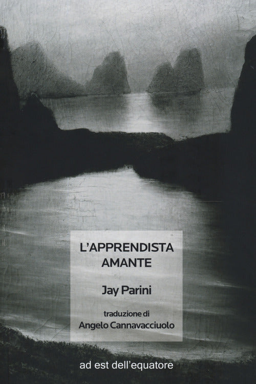 Cover of apprendista amante