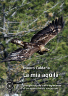 Cover of mia aquila. La regina alpina nelle esperienze di un appassionato naturalista