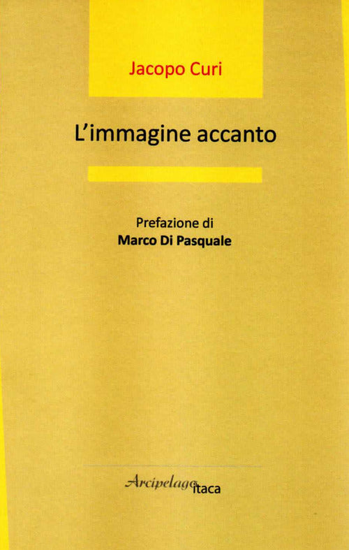 Cover of immagine accanto