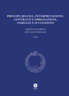 Cover of Principi, regole, interpretazione. Contratti e obbligazioni, famiglie e successioni. Scritti in onore di Giovanni Furgiuele
