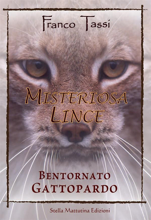 Cover of Misteriosa lince. Bentornato gattopardo