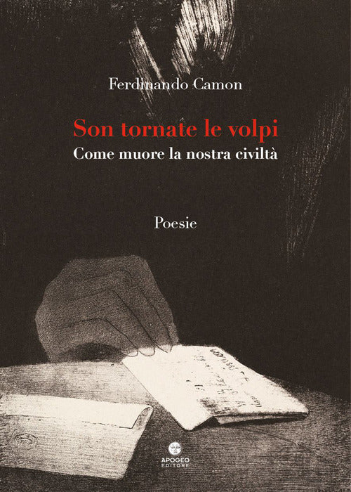 Cover of Son tornate le volpi. Come muore la nostra civiltà