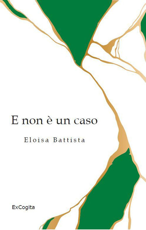 Cover of E non è un caso