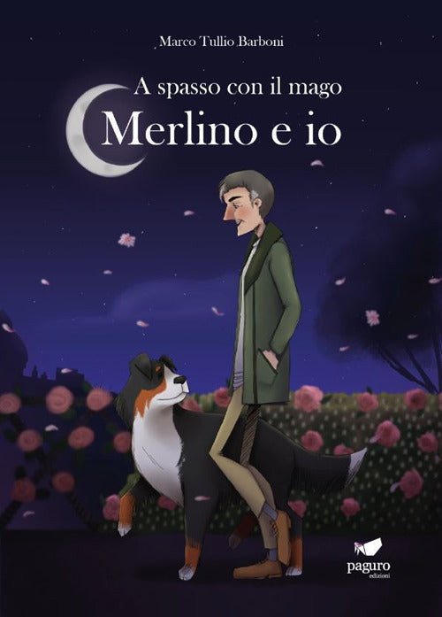 Cover of A spasso con il mago. Merlino e io