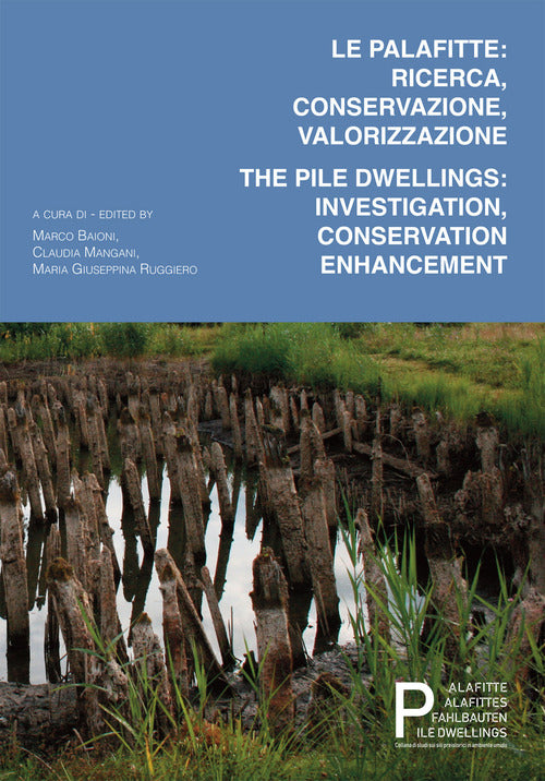 Cover of palafitte: ricerca, conservazione, valorizzazione. The pile dwellings: investigation, conservation, enhancement