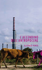 Cover of accendino dell'Antropocene. Brevissima storia del disastro industriale