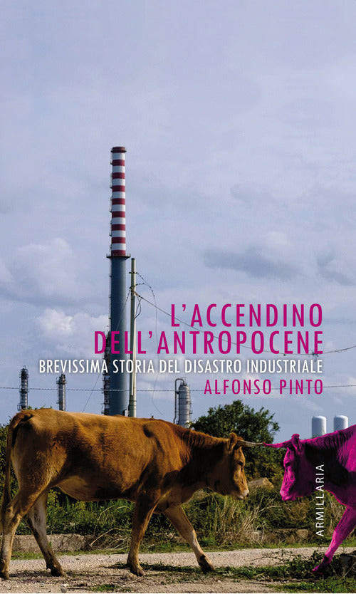 Cover of accendino dell'Antropocene. Brevissima storia del disastro industriale