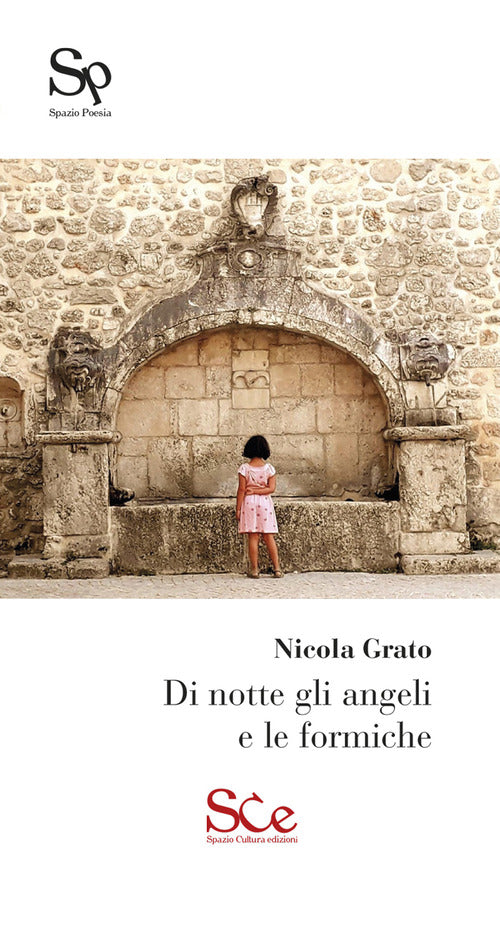 Cover of Di notte gli angeli e le formiche