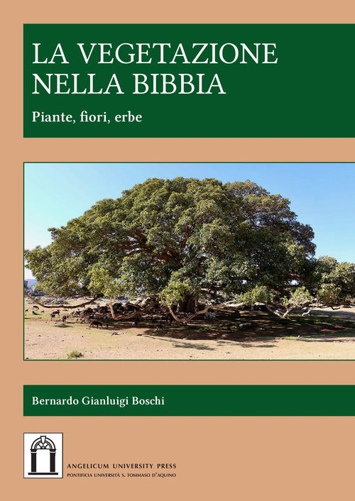 Cover of vegetazione nella Bibbia. Piante, fiori, erbe
