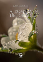 Cover of All'ombra del gelso. Haiku. Ediz. italiana e inglese