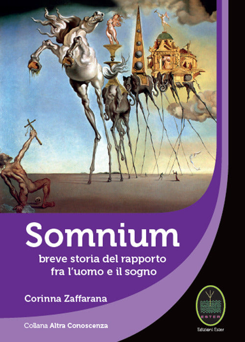 Cover of Somnium. Breve storia del rapporto fra l'uomo e il sogno