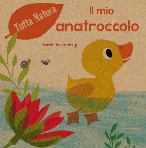 Cover of mio anatroccolo