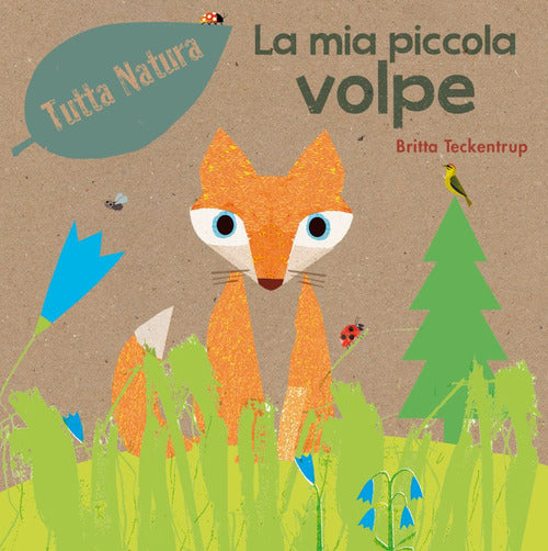 Cover of mia piccola volpe