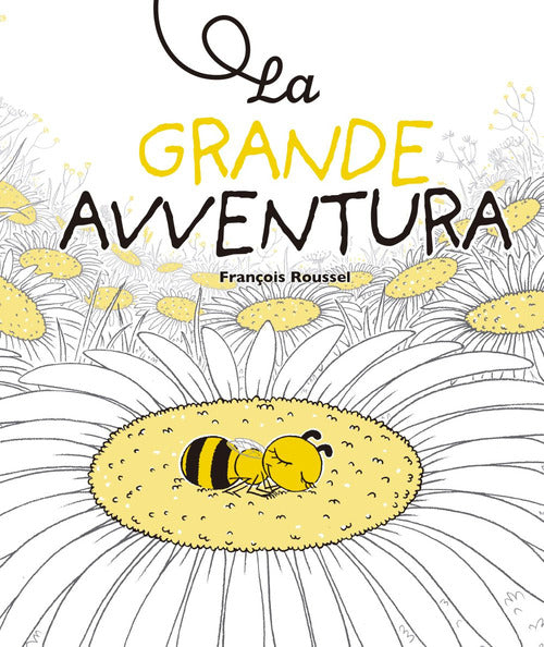 Cover of grande avventura