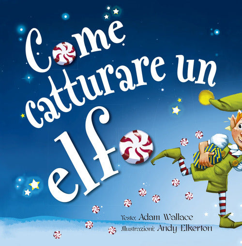 Cover of Come catturare un elfo
