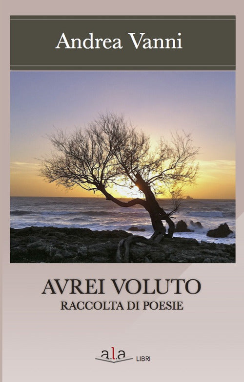 Cover of Avrei voluto