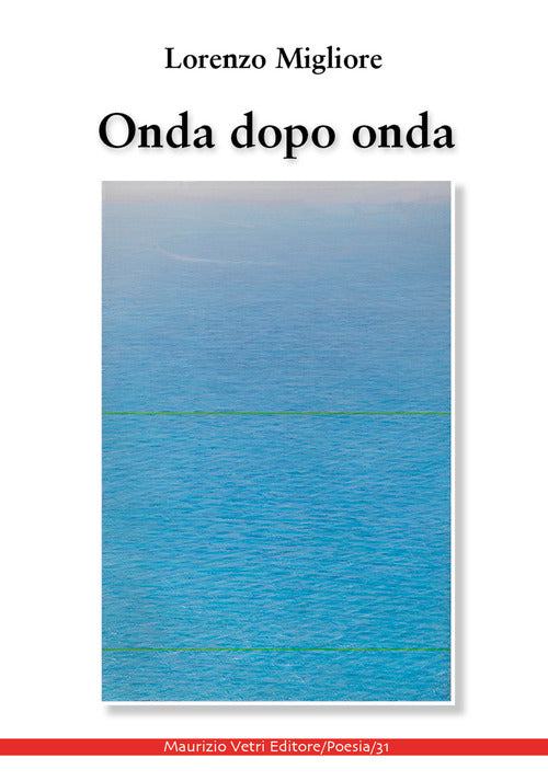 Cover of Onda dopo onda