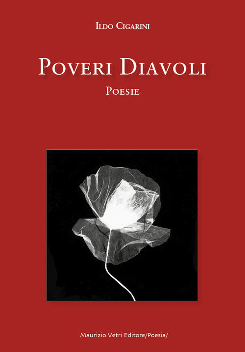 Cover of Poveri diavoli