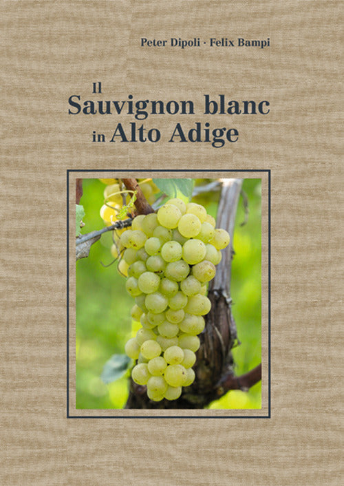 Cover of Sauvignon blanc in Alto Adige