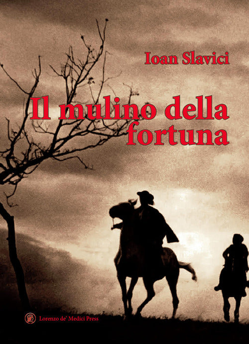 Cover of mulino della fortuna