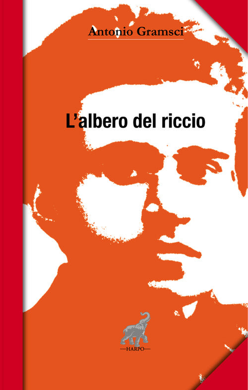 Cover of albero del riccio