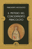 Cover of mistero del concepimento miracoloso