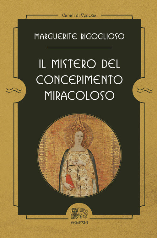 Cover of mistero del concepimento miracoloso