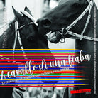 Cover of A cavallo di una fiaba. 17 cavalli per 17 contrade raccontano il palio di Siena