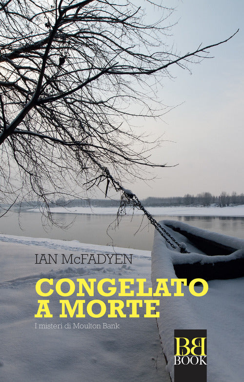 Cover of Congelato a morte. I misteri di Moulton Bank