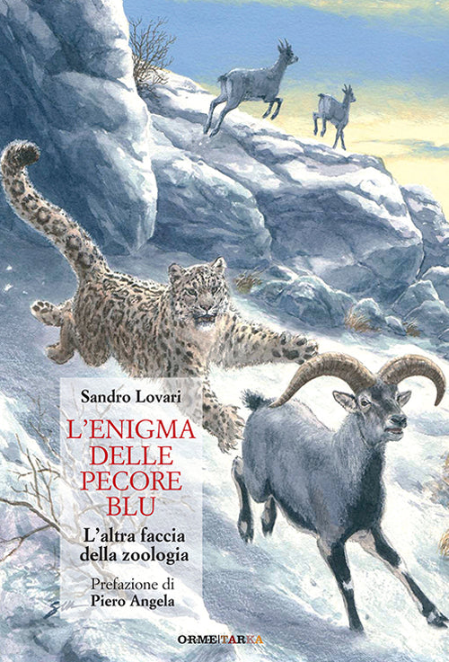 Cover of enigma delle pecore blu. L'altra faccia della zoologia