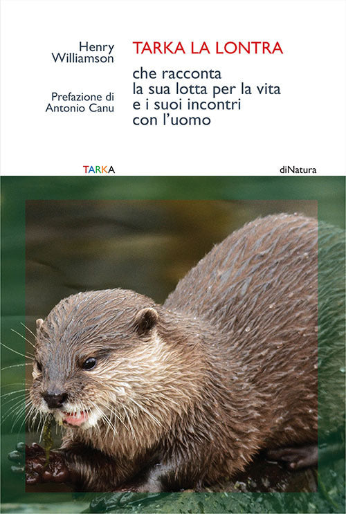 Cover of Tarka la lontra che racconta la sua lotta per la vita e i suoi incontri con l'uomo