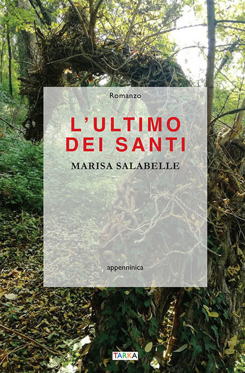 Cover of ultimo dei Santi