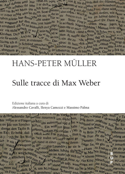 Cover of Sulle tracce di Max Weber