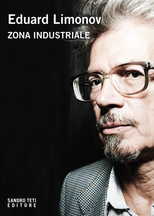 Cover of Zona industriale