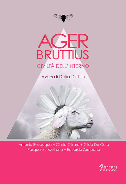 Cover of Ager Bruttius. Civiltà dell’interno