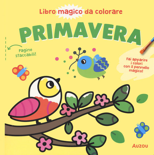 Primavera. Libro magico da colorare