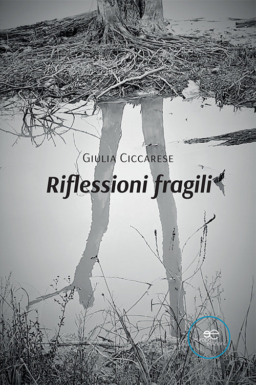 Cover of Riflessioni fragili