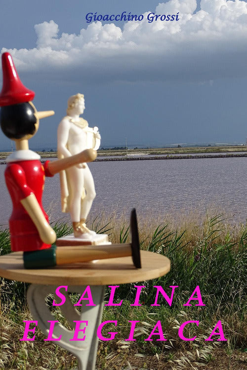 Cover of Salina elegiaca