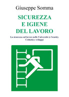 Cover of Sicurezza e igiene del lavoro. La sicurezza sul lavoro nelle Università (e scuole). Criticità e sviluppi
