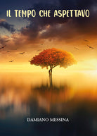 Cover of tempo che aspettavo