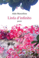 Cover of Linfa d'infinito