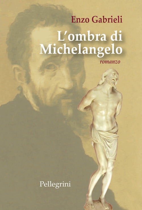 Cover of ombra di Michelangelo