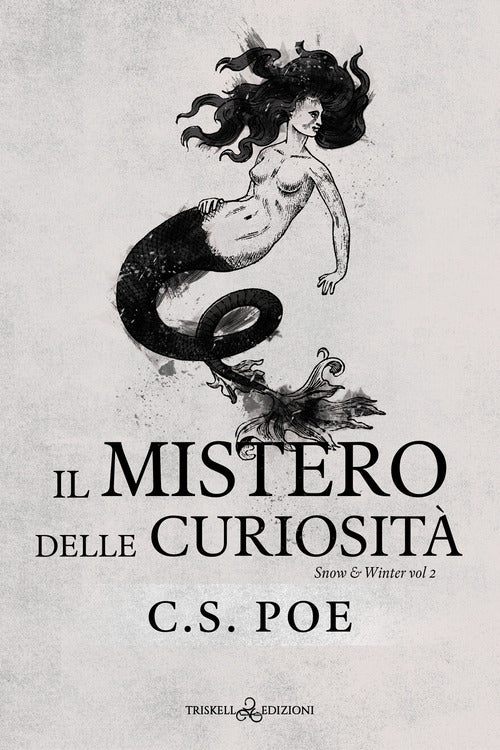 Cover of mistero delle curiosità. Snow & Winter