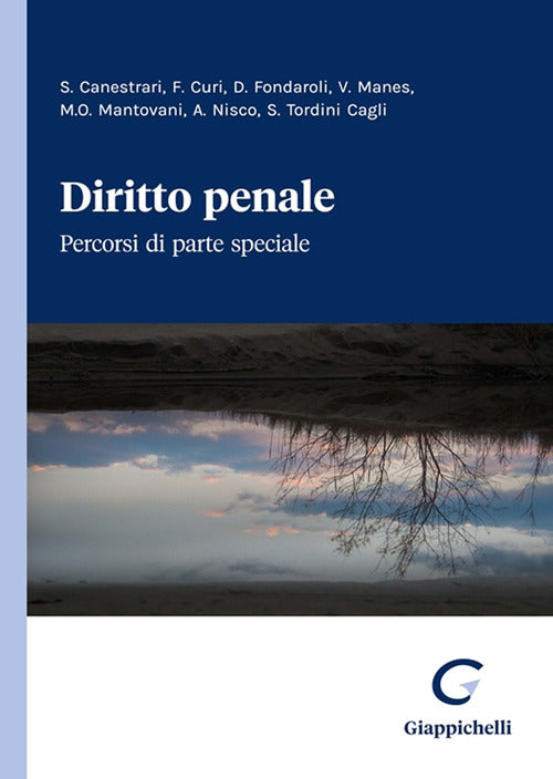 Cover of Diritto penale. Percorsi di parte speciale