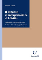 Cover of concetto di interpretazione del diritto
